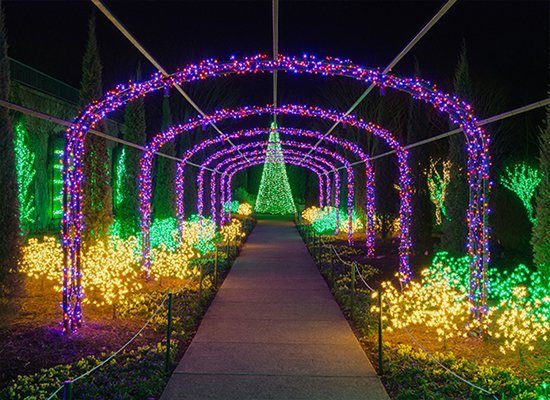 Holiday LIGHTS Buy Tickets Page Photo.jpg