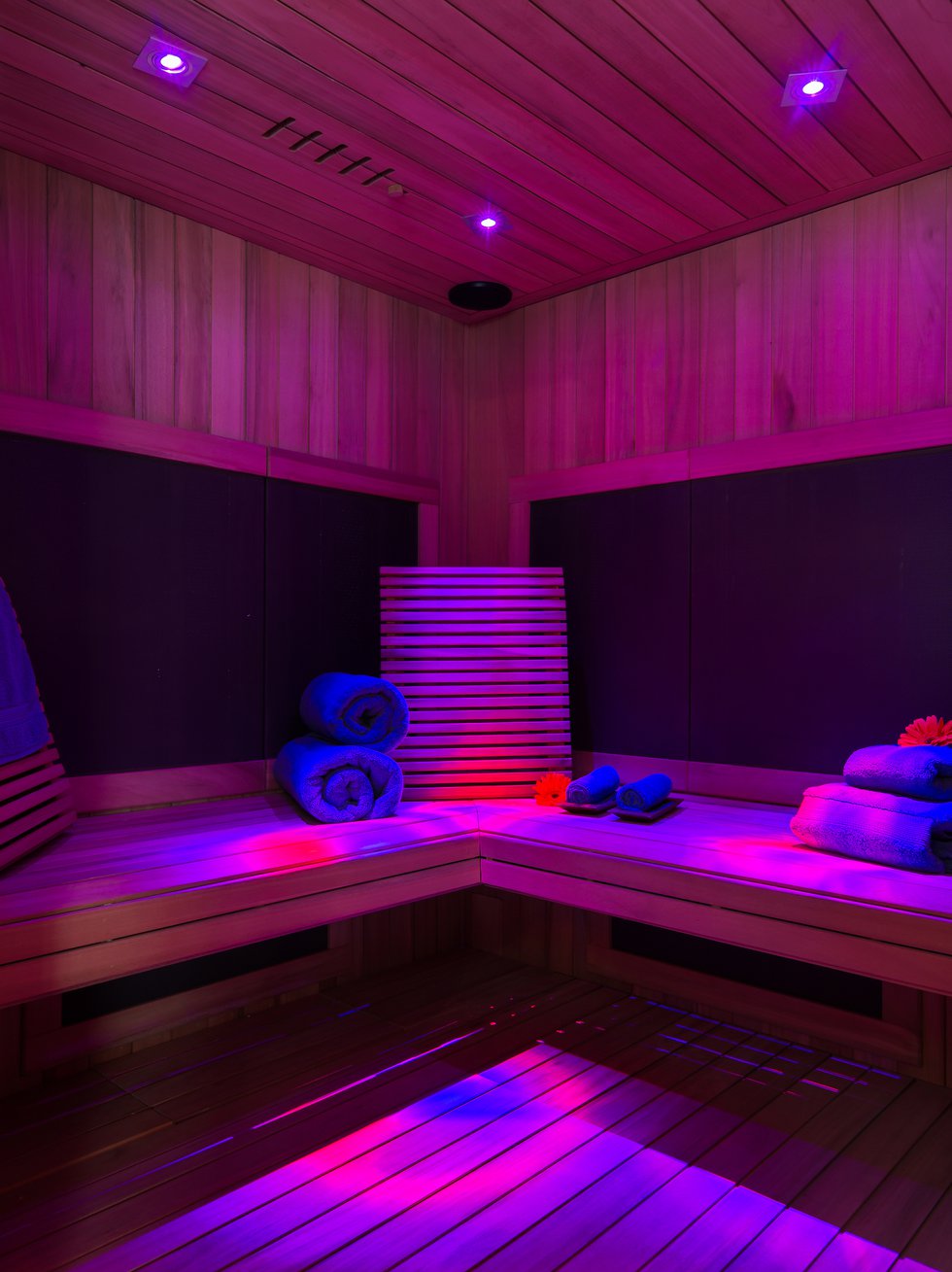 Deluxe Sauna - Interior.jpg