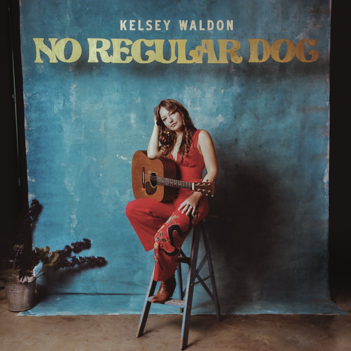 Meet Singer-Songwriter Kelsey Waldon - Nashville Lifestyles