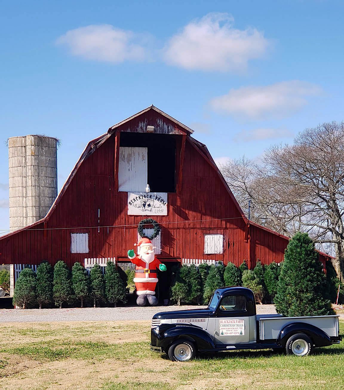 4 Farms to Get a Christmas Tree Near Nashville Nashville Lifestyles