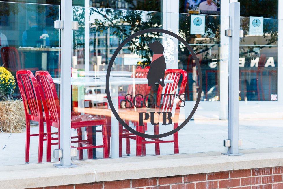 Scout's Pub Midtown Adopt A Golden.jpg