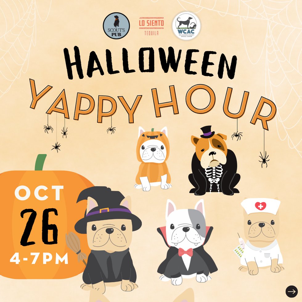Scout's Pub Puppy Costume Party (Instagram Post) - 3