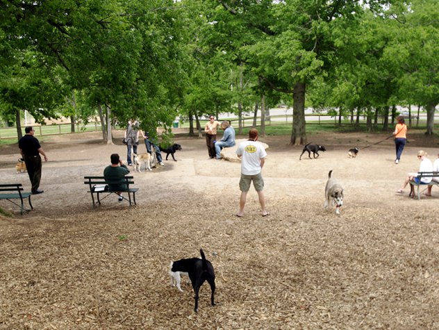 nutro dog park