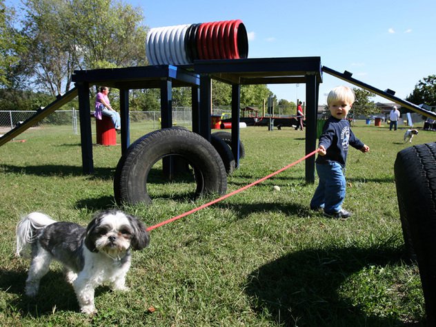 Nashville Area Top Dog Parks - Nashville Lifestyles