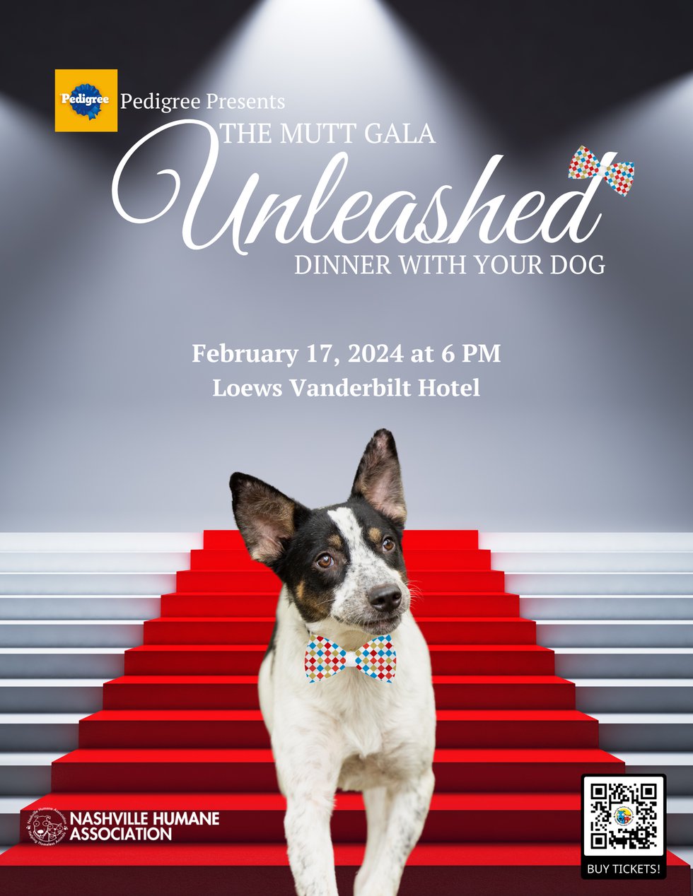Unleashed Flyers - 1
