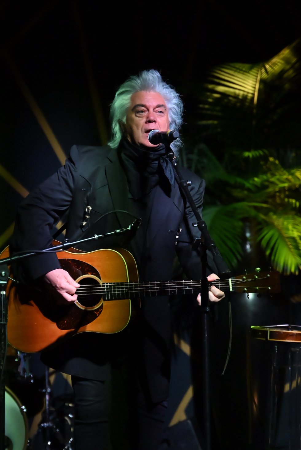 Marty Stuart.JPG